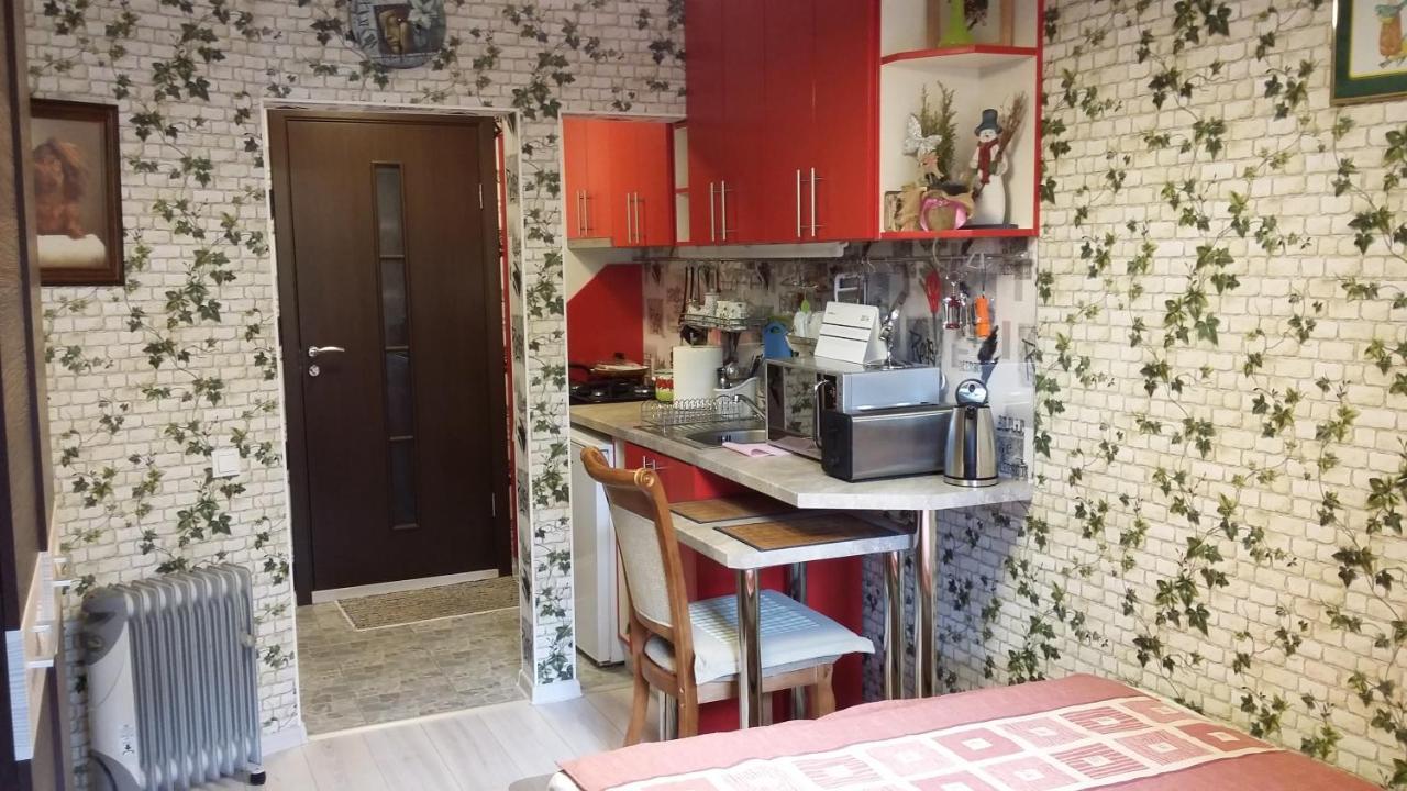 ריגה Small And Cozy Studio Apartment מראה חיצוני תמונה